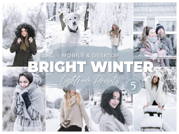 Download Lightroom Preset Bright Winter - Lightroom Collection