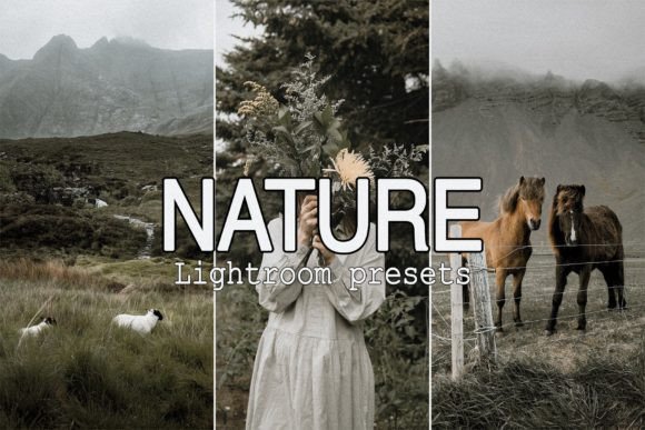 Download 9 Nature Lightroom Mobile Presets - Lightroom Collection