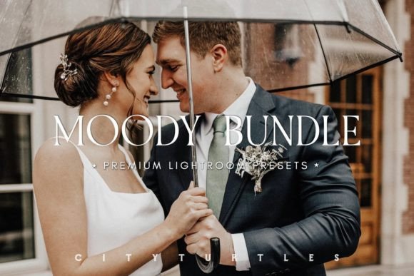 Download MOODY BUNDLE Portrait Lightroom Presets - Lightroom Collection