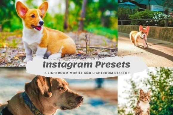 Download Influencer Lightroom Instagram Presets - Lightroom Collection