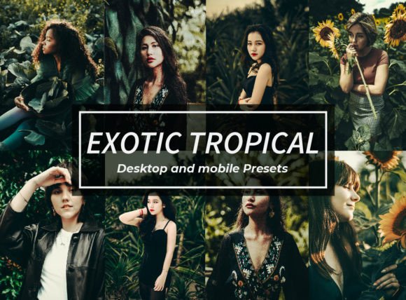 Download Exotic Tropical Lightroom Presets - Lightroom Collection