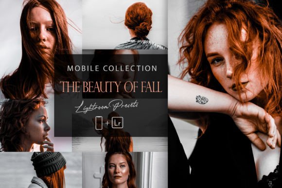 Download 12 Mobile Lightroom, the Beauty  of Fall - Lightroom Collection