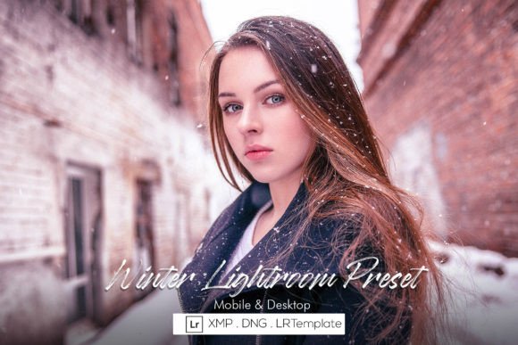 Download Winter Lightroom Preset - Lightroom Collection