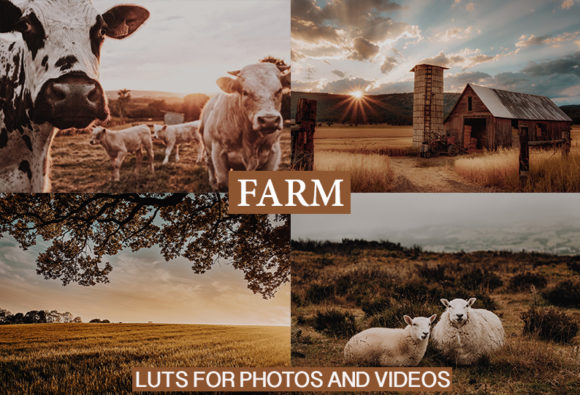 Download Desktop and Mobile Lightroom Presets - Lightroom Collection