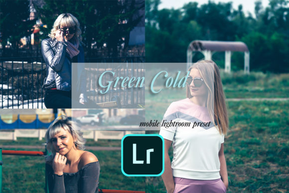 Download Green Cold Fashion Lightroom Preset - Lightroom Collection