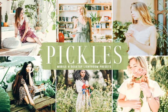 Download Pickles Pro Lightroom Presets - Lightroom Collection