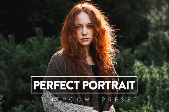 Download 10 Perfect Portrait Lightroom Preset - Lightroom Collection