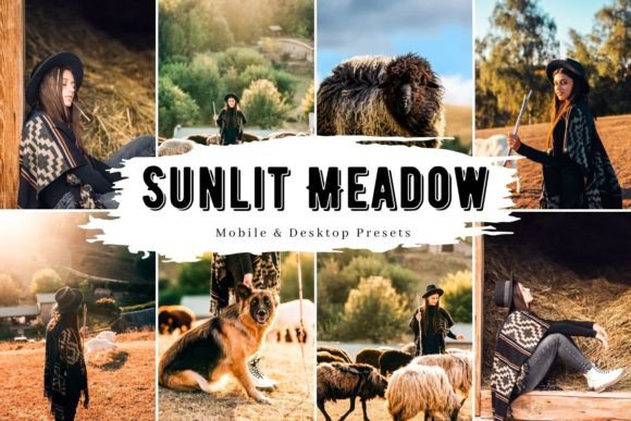 Download 10 Sunlit Meadow Lightroom Presets - Lightroom Collection