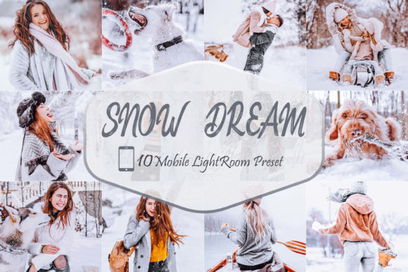 Download 10 Snowy Dream LR Mobile Presets - Mobile Collection