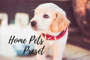 Download Lightroom Presets - Home Pets - Lightroom Collection