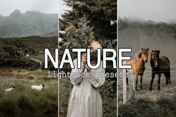 Download 9 Nature Mobile Lightroom Presets - Lightroom Collection