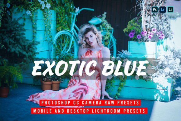 Download 15 Exotic Blue Lightroom Presets - Lightroom Collection
