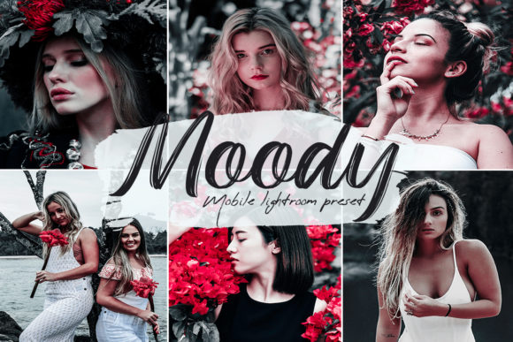 Download Moody Lightroom Presets - Lightroom Collection