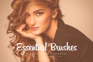 Download Essential Lightroom Brush Presets - Lightroom Collection