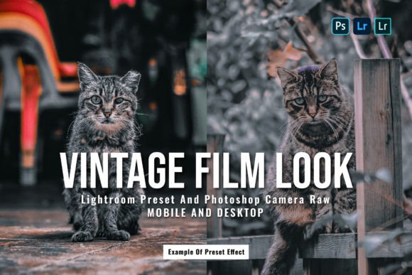 Download 15 Vintage Film Look Lightroom Presets - Lightroom Collection