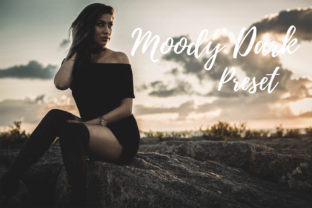 Download Lightroom Presets - Moody Dark - Lightroom Collection