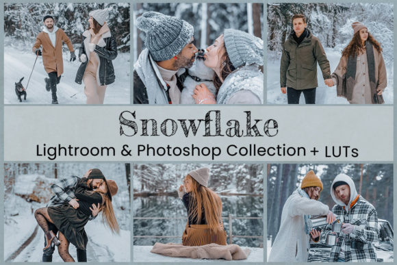 Download Snowflake Lightroom Preset Photoshop LUT - Lightroom Collection