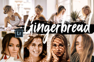 Download 5 Gingerbread Desktop Lightroom Presets - Lightroom Collection