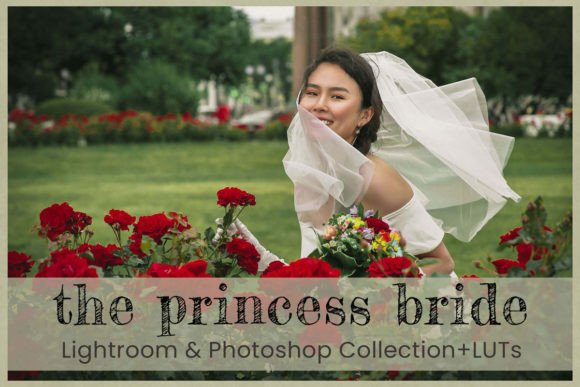 Download Princess Bride Lightroom Presets Desktop - Lightroom Collection