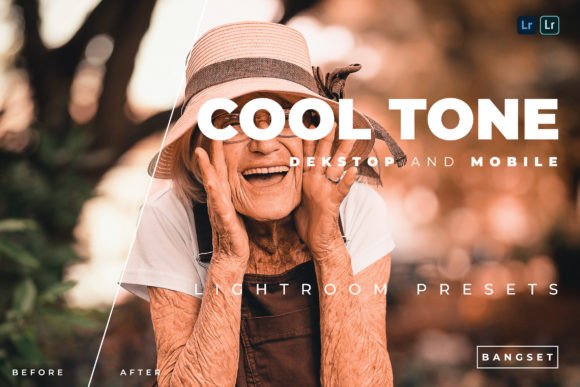 Download Cool Tone Lightroom Presets - Lightroom Collection